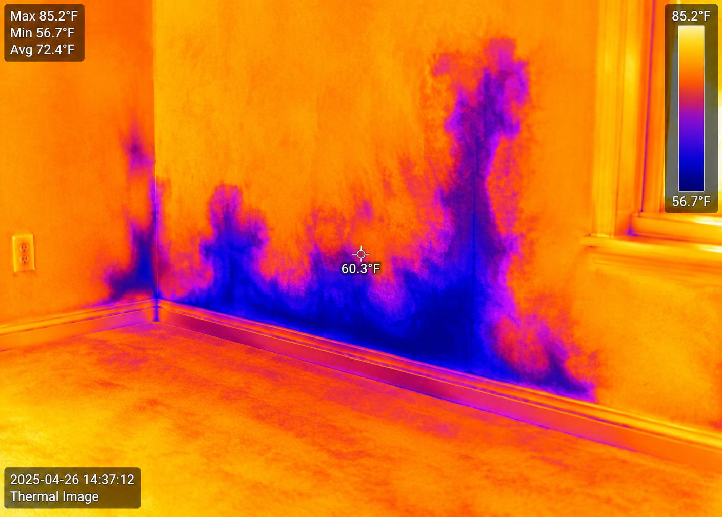 Mold Removal & Remediation
